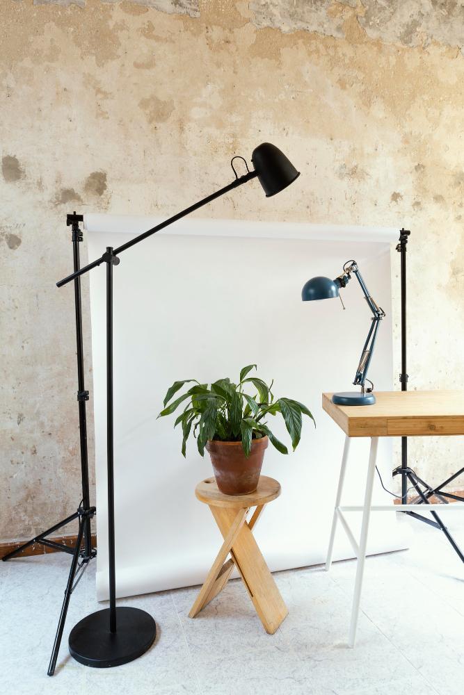 Wide-angle Indian studio interior with warm wood, plants, and soft tungsten lighting.